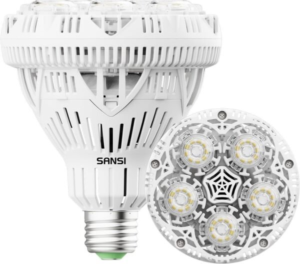 High Brightness BR30 LED Light Bulb, 30W (4000 Lumens), 5000K Daylight, E26 Base, Energy-Efficient, Non-Dimmable